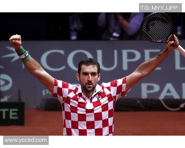 2020年法国与克罗地亚决赛直播回顾精彩瞬间与赛后分析 2020年法国与克罗地亚决赛直播回顾精彩瞬间与赛后分析