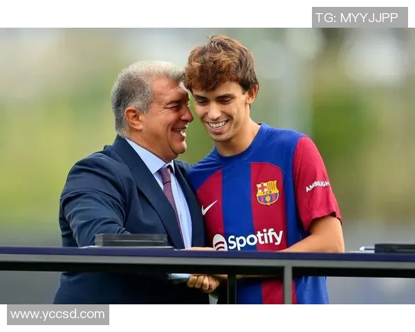 若昂内维斯的足球之路：从青训新星到职业赛场的崛起与挑战