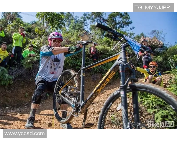 比勒弗主场迎战汉堡期待精彩对决双方争夺关键积分的激烈较量 比勒弗主场迎战汉堡期待精彩对决双方争夺关键积分的激烈较量