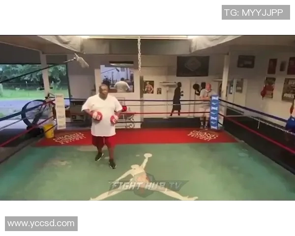 泰森与小罗伊琼斯重燃拳坛激情引发圈钱热潮的背后故事 泰森与小罗伊琼斯重燃拳坛激情引发圈钱热潮的背后故事