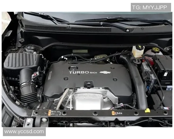 巴厘联与广宁煤炭对决分析：谁能在赛场上笑到最后