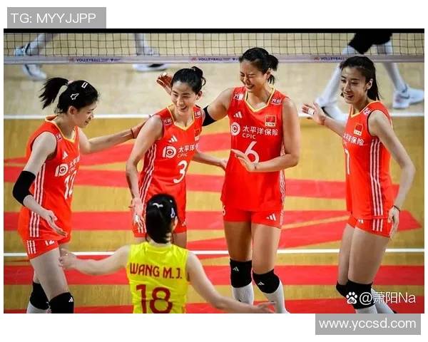 河南女排与河北女排激战正酣谁能在这场较量中笑到最后