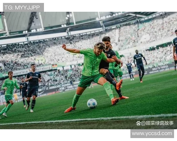 汉堡队与不莱梅队激战正酣谁能在德甲赛场上笑到最后 汉堡队与不莱梅队激战正酣谁能在德甲赛场上笑到最后