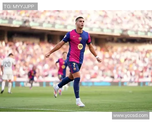 费兰托雷斯的崛起之路:从青训天才到世界足球新星的奋斗历程 费兰托雷斯的崛起之路:从青训天才到世界足球新星的奋斗历程