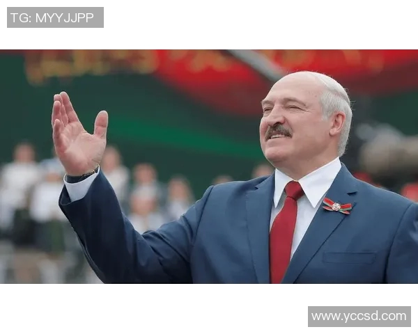 防御正义与阿独立预测的辩证关系探讨与未来展望