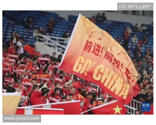 世预赛激战新加坡对决中国队期待精彩表现与胜利之路