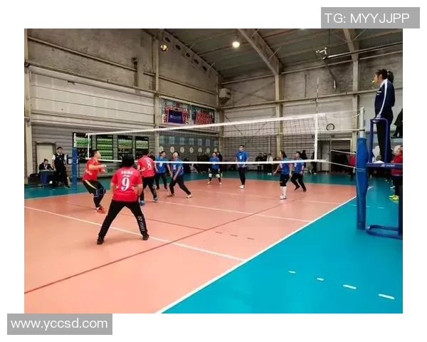 南京排球队荣登排球战术排行榜第五名展现强劲实力与团队合作精神