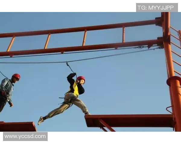 成都乒乓球队耐力训练揭秘助力球员在赛场上超越自我MBA