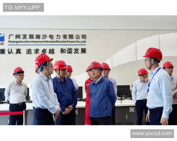 深入探讨LNG耐力表现的数据分析与市场趋势解读