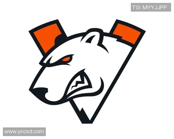 聚焦CSGOEDG战队灵活性策略与战术调整的深度分析