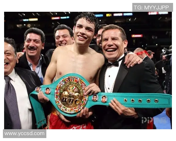 菲多与马特的巅峰对决谁将成为拳击界的新传奇