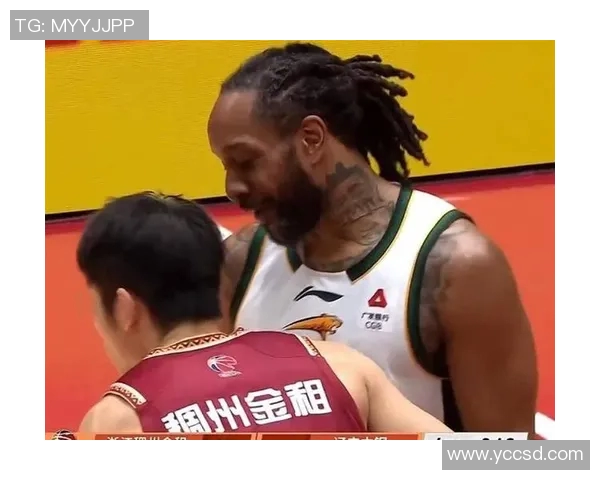 辽宁队与上海队激战12月30日精彩对决期待球迷热情助威