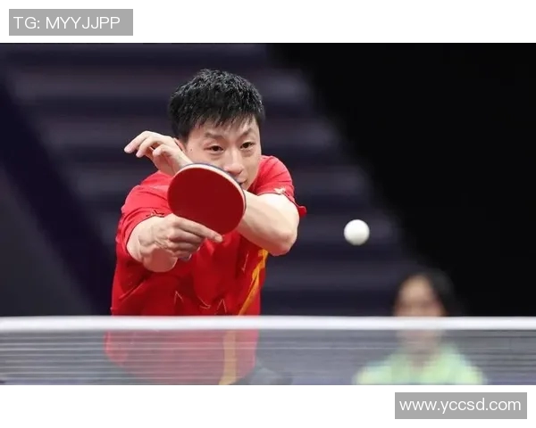 杭州乒乓球队阵地战体系探讨与战术分析之道