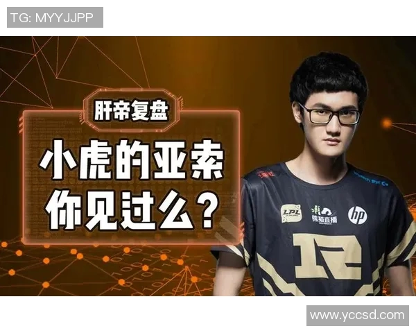 赛后复盘：RNG与BLG在战术灵活性上的精彩对决分析