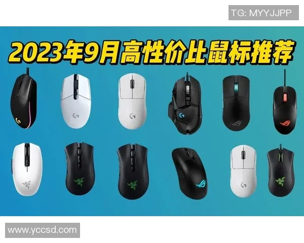 CSGO游戏鼠标选购指南推荐适合不同玩家需求的优质装备 CSGO游戏鼠标选购指南推荐适合不同玩家需求的优质装备